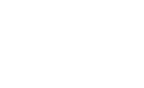 white2022