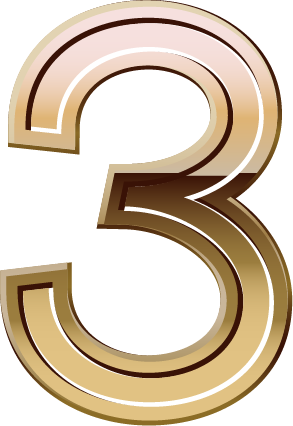 b_3